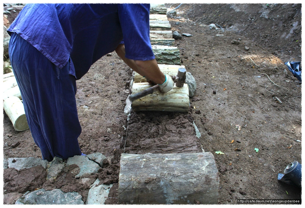 1971A94B50ACD0DF253C81