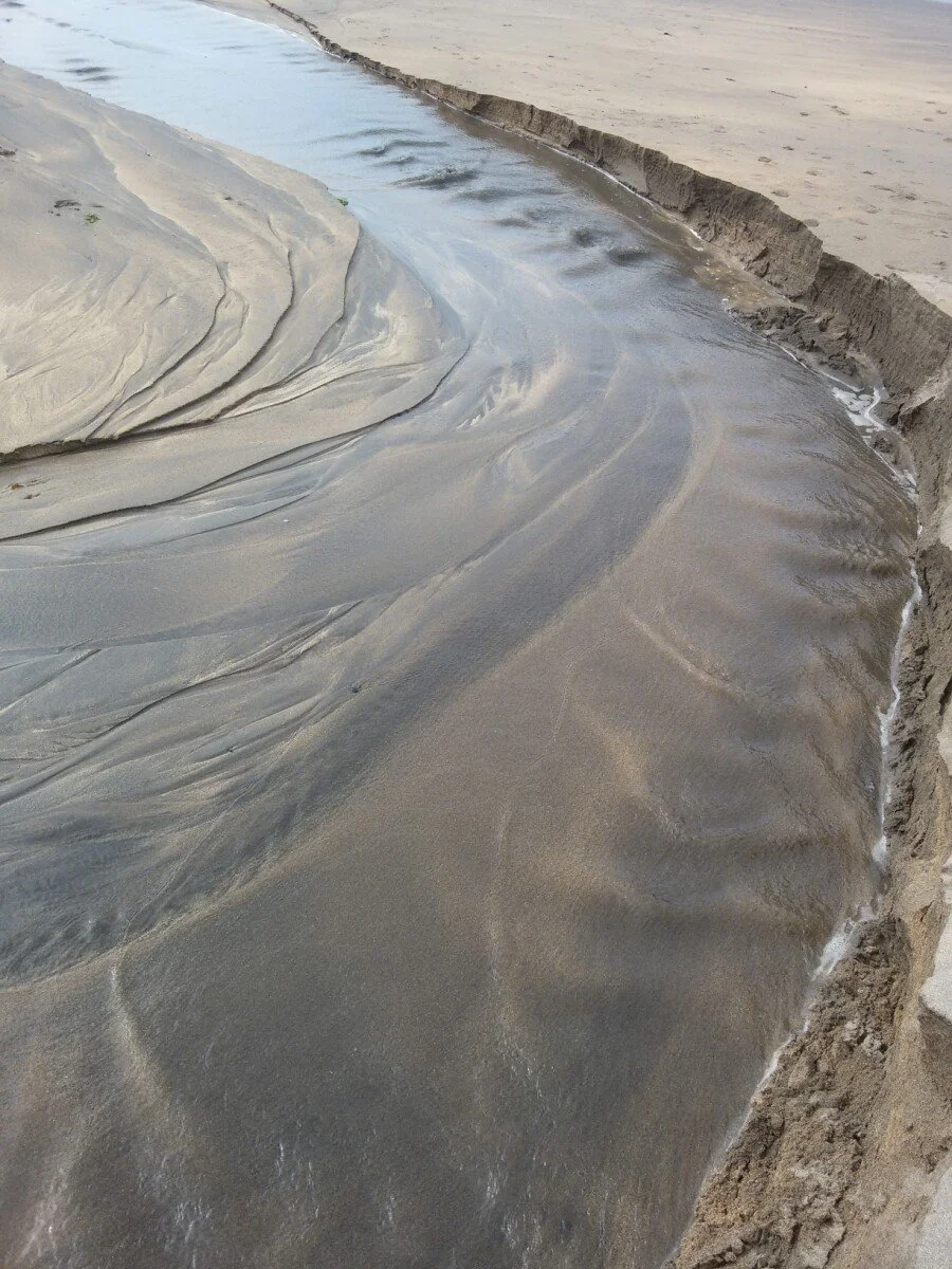 20180528_164723.jpg?type=w1200