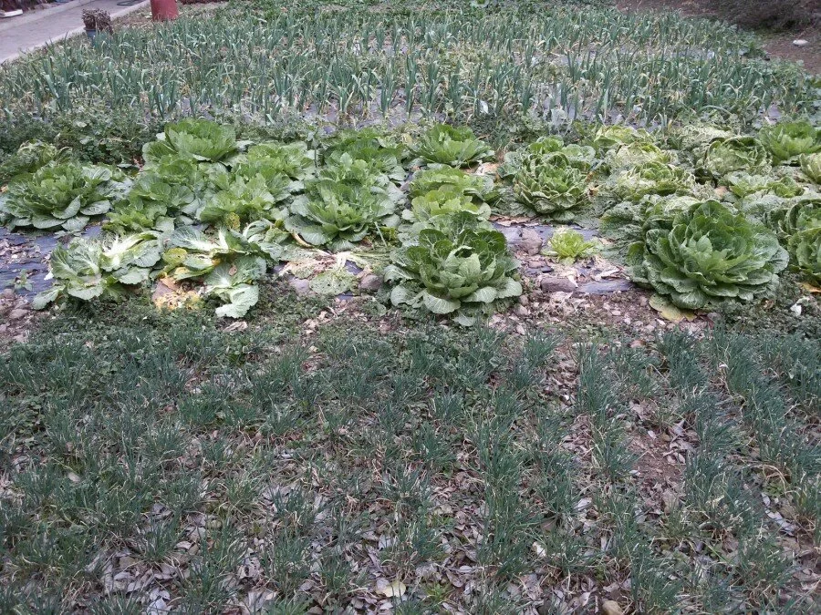 20180218_161821.jpg?type=w1200