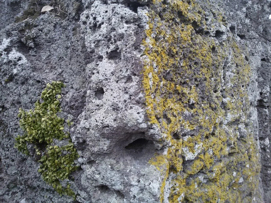 20180218_161602.jpg?type=w1200