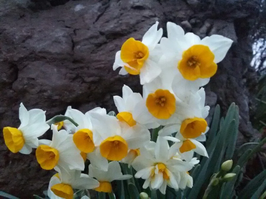 20180219_182547.jpg?type=w1200