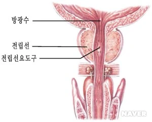 cf6_16543_i1.jpg?type=w300_fst_n&wm=Y