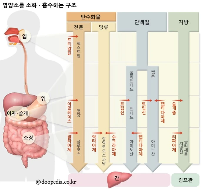 727073_0.gif?type=ori_1&wm=N