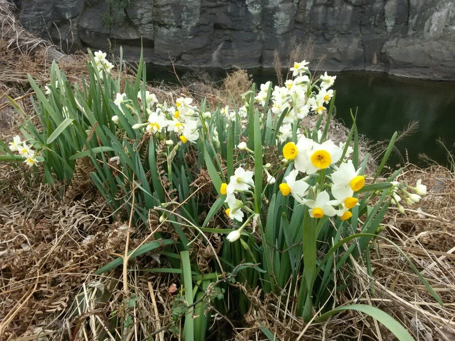 20180222_124321.jpg?type=w1200