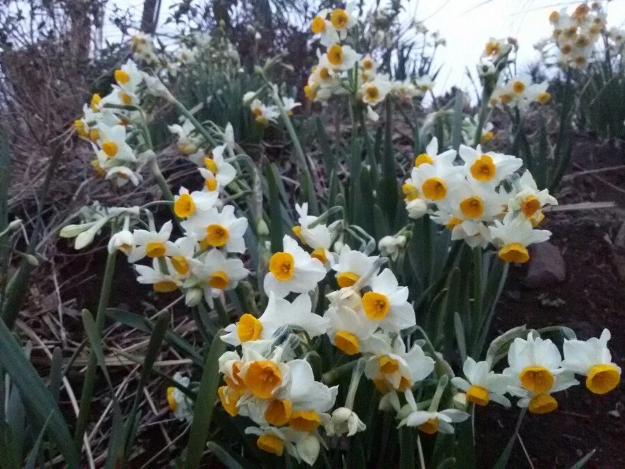 20180219_182630.jpg?type=w1200