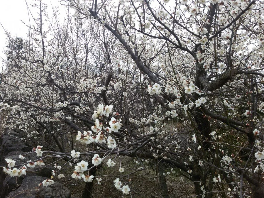 20180222_122047.jpg?type=w1200