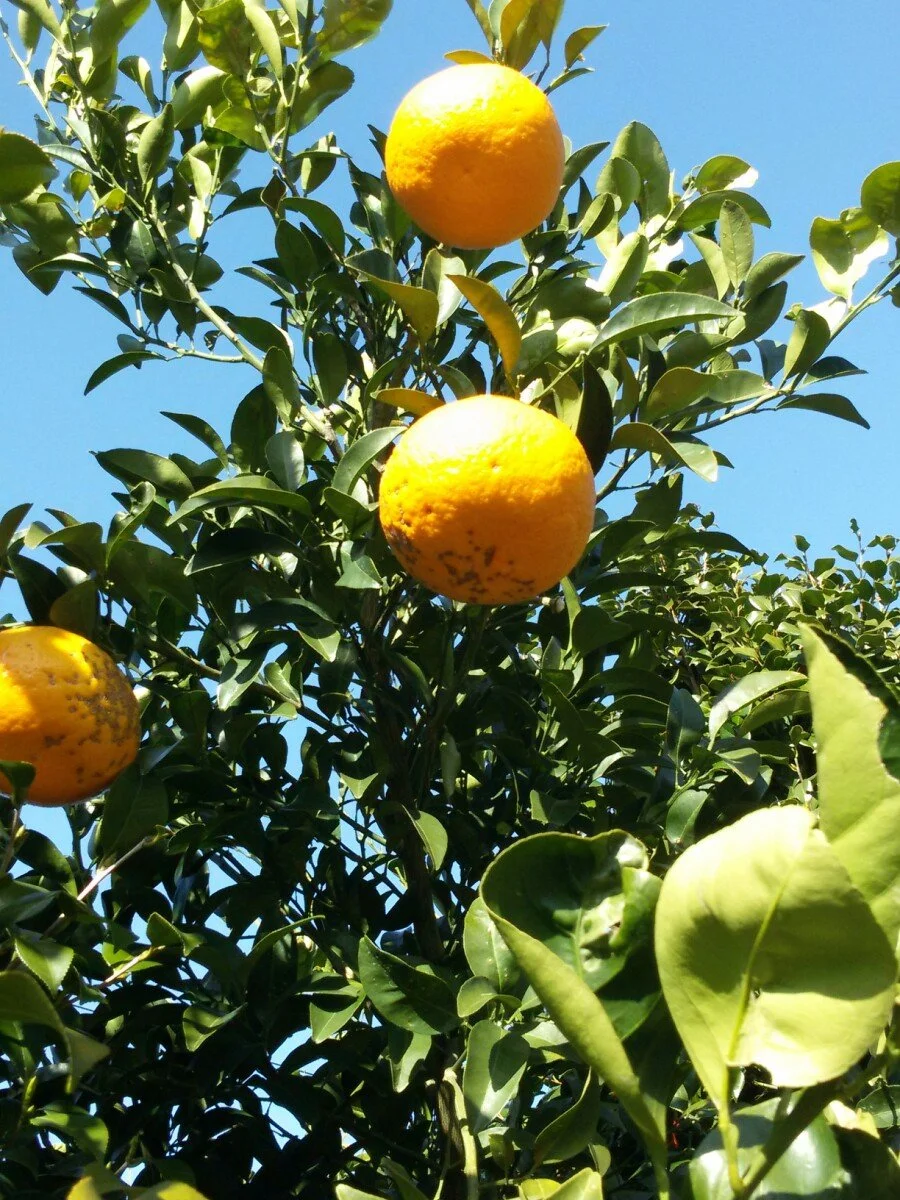 20180312_161357.jpg?type=w1200