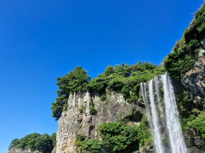 다운로드 (2).jfif