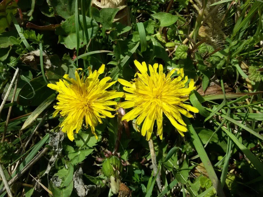 20180312_105023.jpg?type=w1200