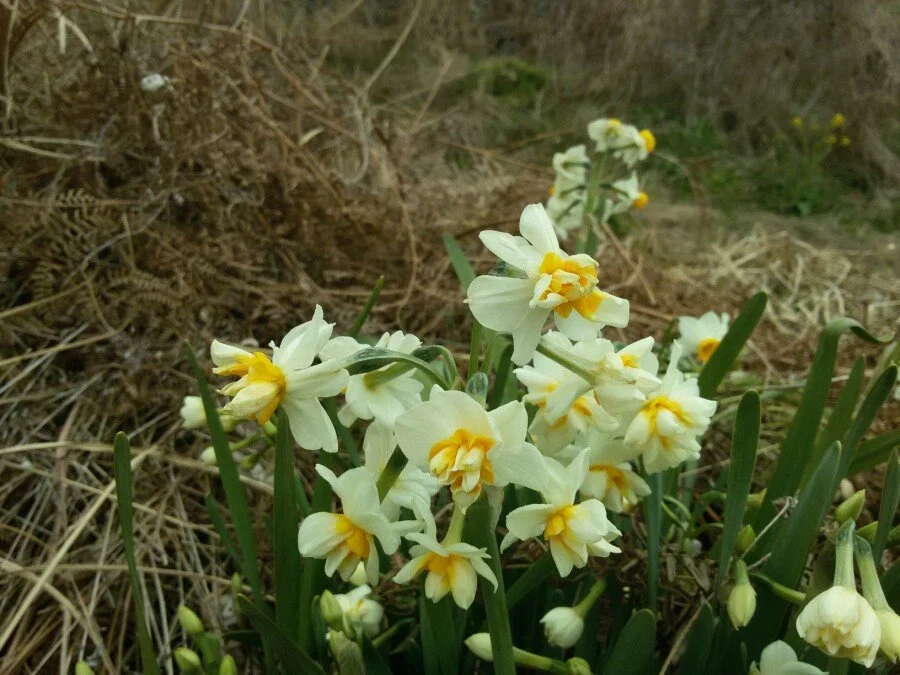 20180222_124413.jpg?type=w1200