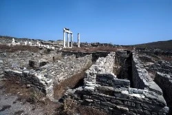 48190.jpg?type=m250&wm=N