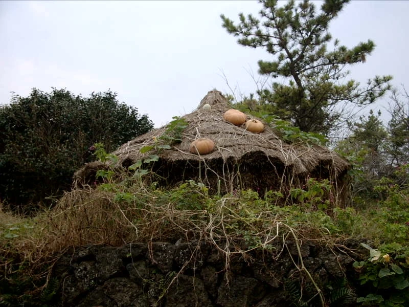 다운로드 (11).jfif