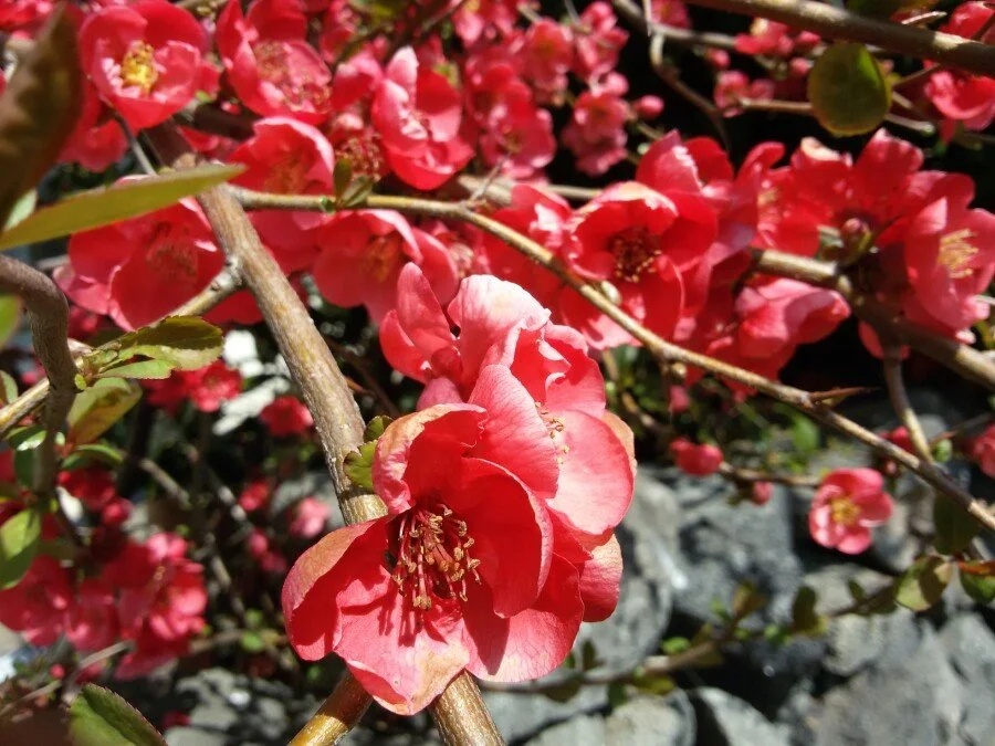 20180312_130033.jpg?type=w1200