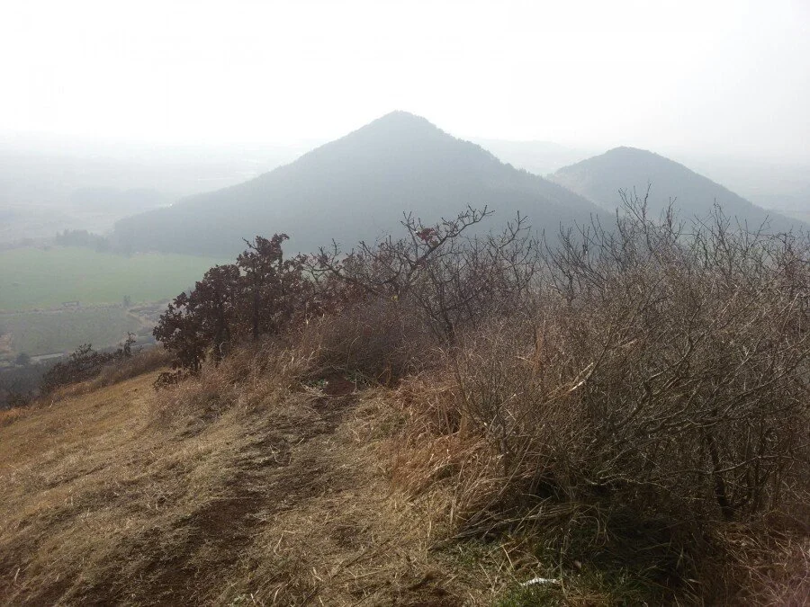 20180311_154837.jpg?type=w1200