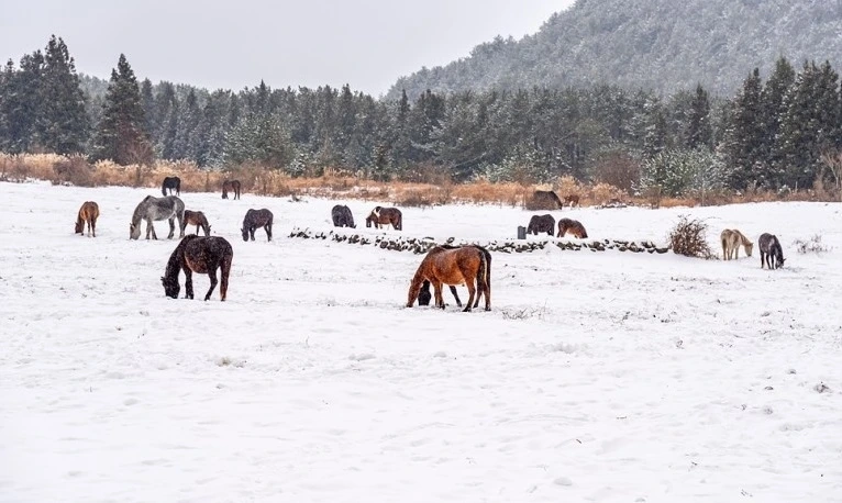 다운로드 (11).jfif