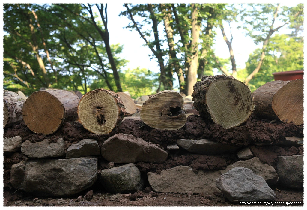 186F264B50ACD0DE2305FA