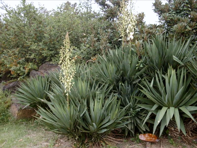 다운로드 (21).jfif