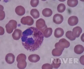 208_i9.jpg?type=h227_2&wm=Y