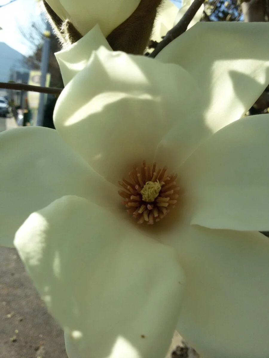 20180312_161324.jpg?type=w1200