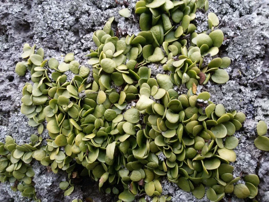 20180218_161609.jpg?type=w1200