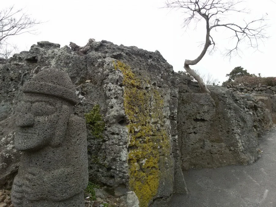 20180218_161547.jpg?type=w1200