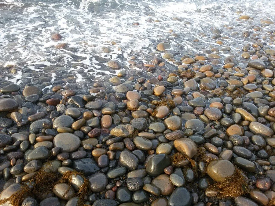 20180216_172358.jpg?type=w1200