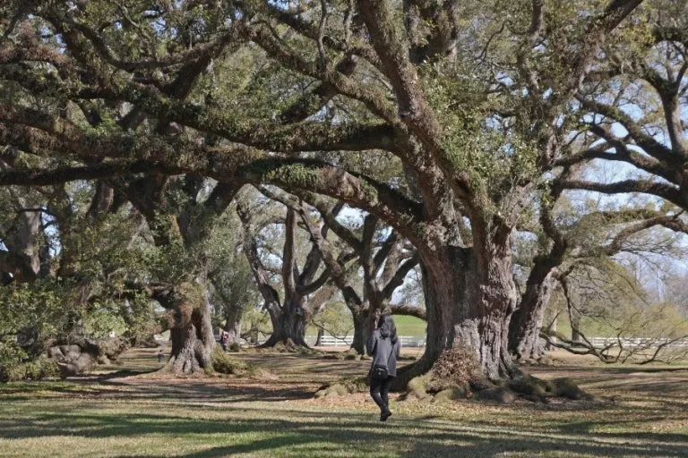 다운로드 (2).jfif