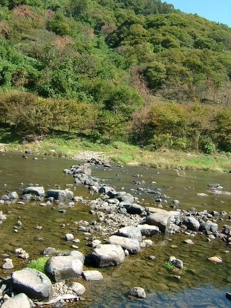 00032.jpg?type=w1200