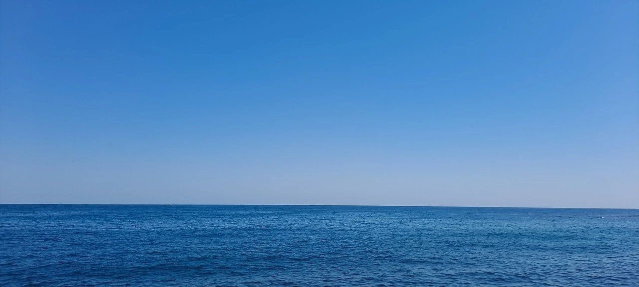 다운로드 (1).jfif