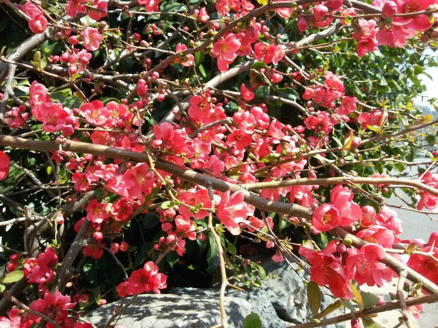 20180312_130022.jpg?type=w1200