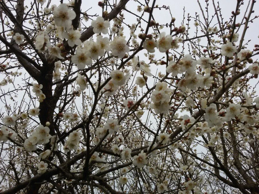 20180222_121919.jpg?type=w1200