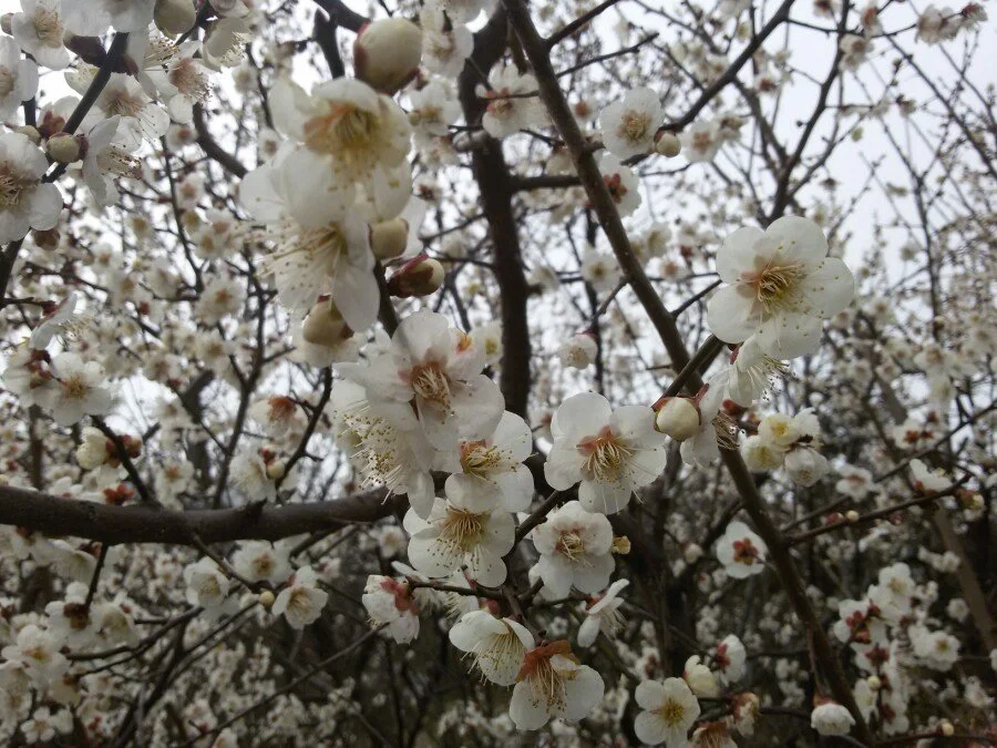 20180222_122023.jpg?type=w1200