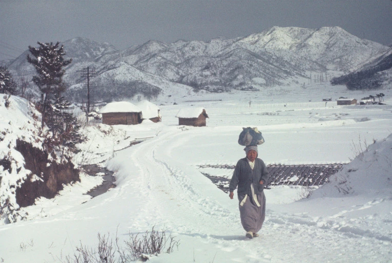 다운로드 (38).jfif