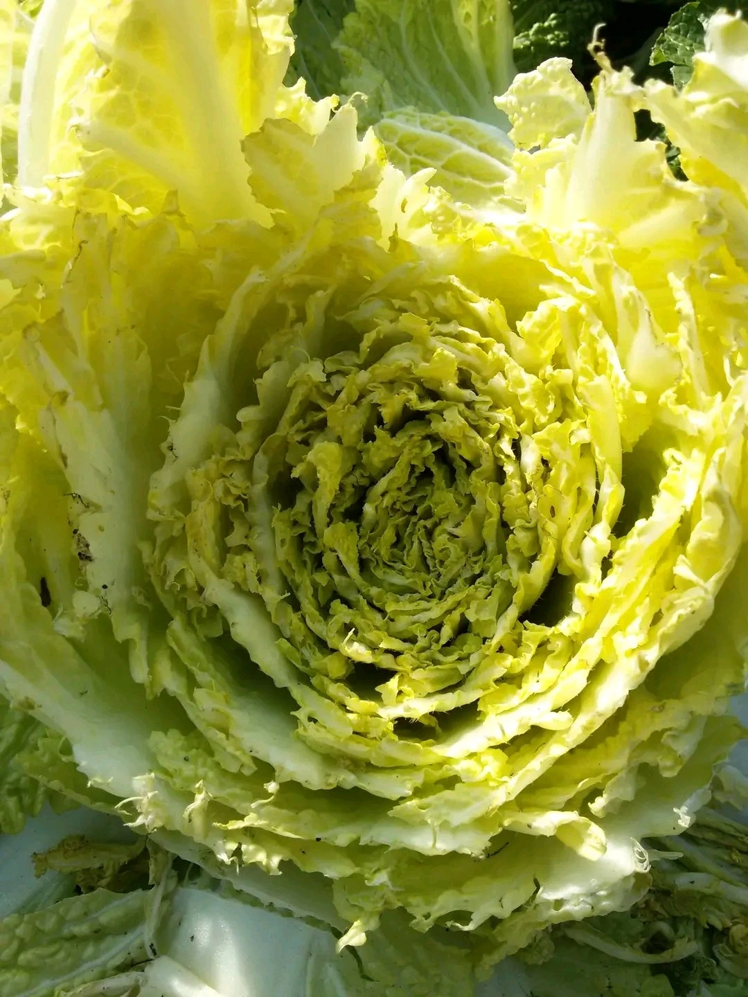 다운로드 (13).jfif