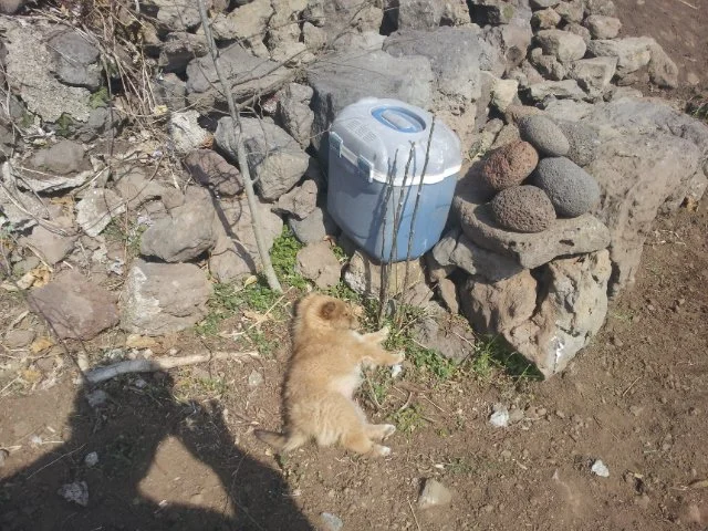 000-3.jpg?type=w1200