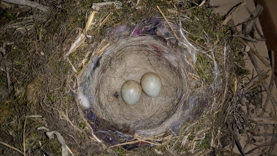 다운로드 (6).jfif