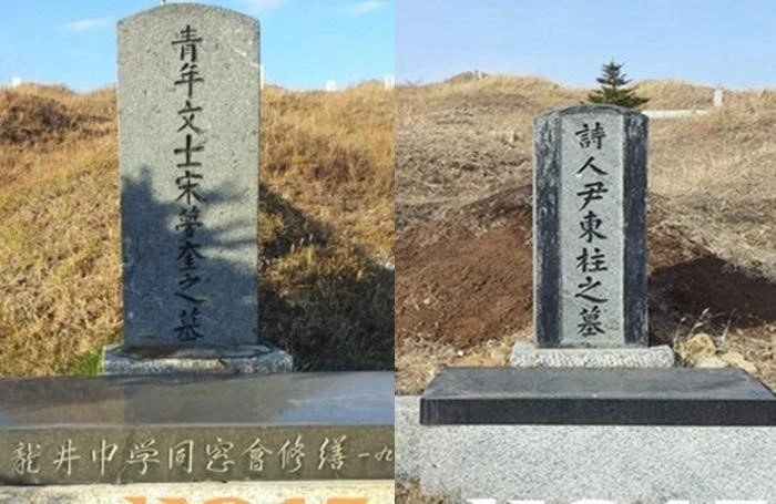 다운로드 (34).jfif