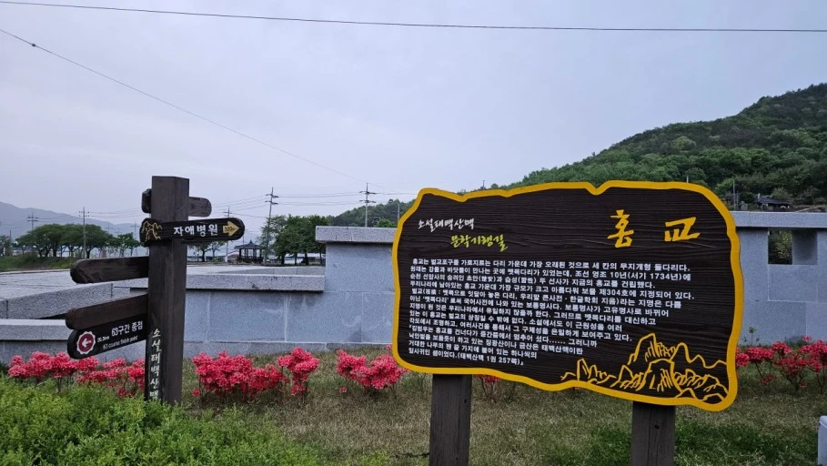 다운로드 (9).jfif