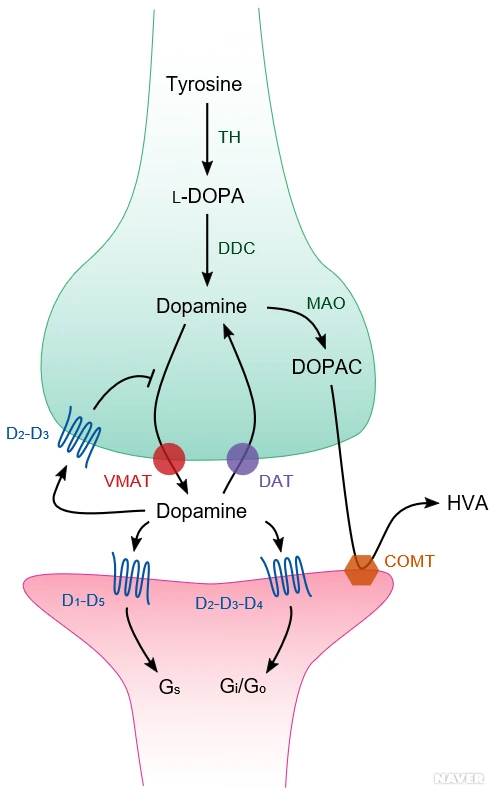 %25EB%258F%2584%25.png?type=w540_fst_n