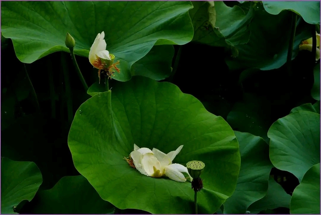 다운로드 (18).jfif