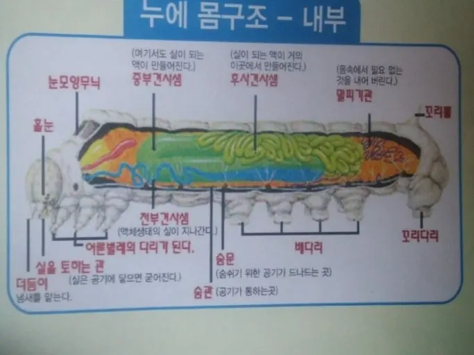 다운로드 (25).jfif