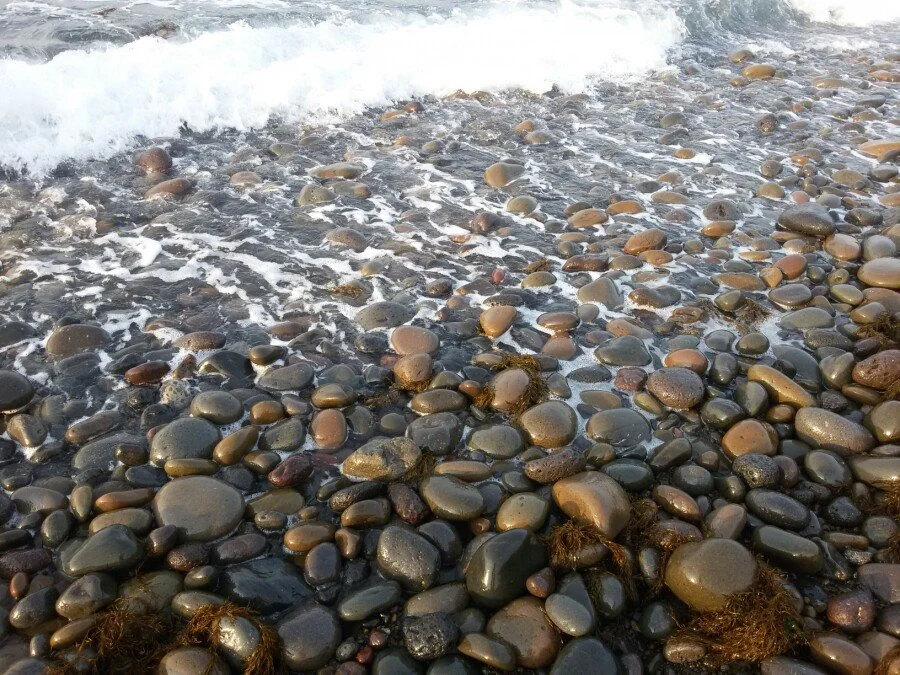 20180216_172404.jpg?type=w1200