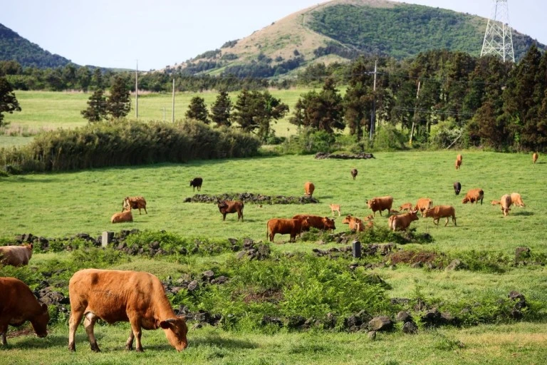 다운로드 (13).jfif