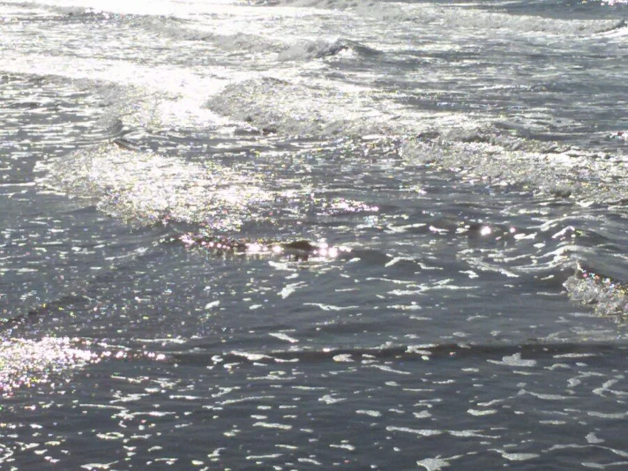 20180217_145930.jpg?type=w1200