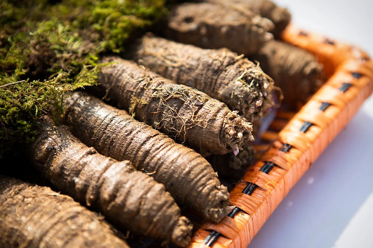 EYE_2987_%EB%B3%B5%EC%82%AC.jpg?type=w1200