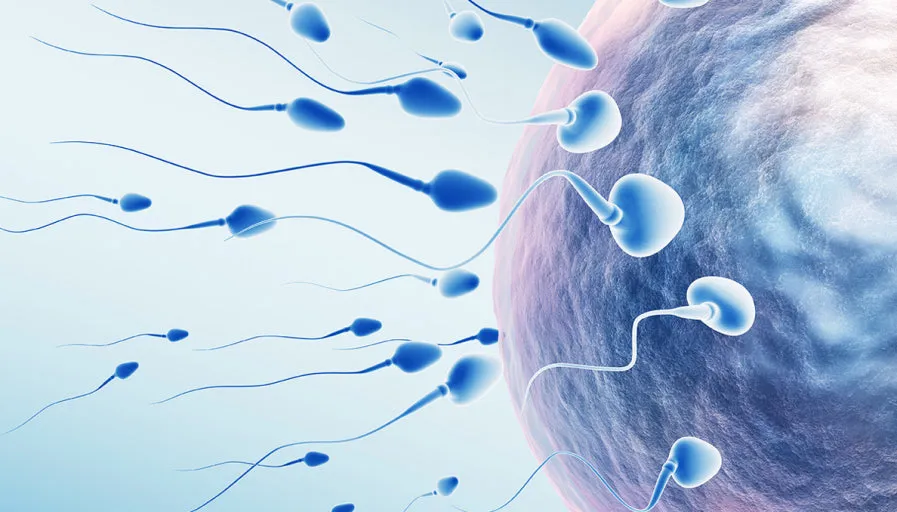 다운로드 (4).jfif