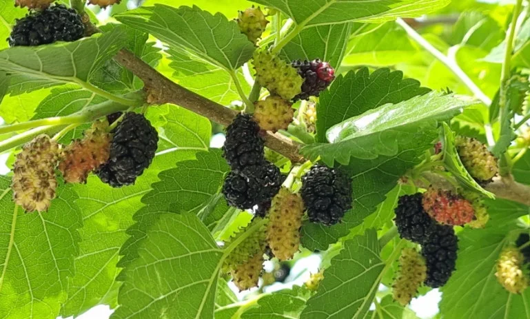 다운로드 (9).jfif