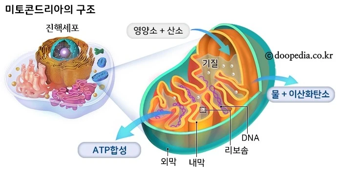 67386_0.gif?type=ori_1&wm=N