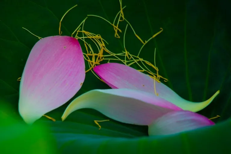 다운로드 (33).jfif