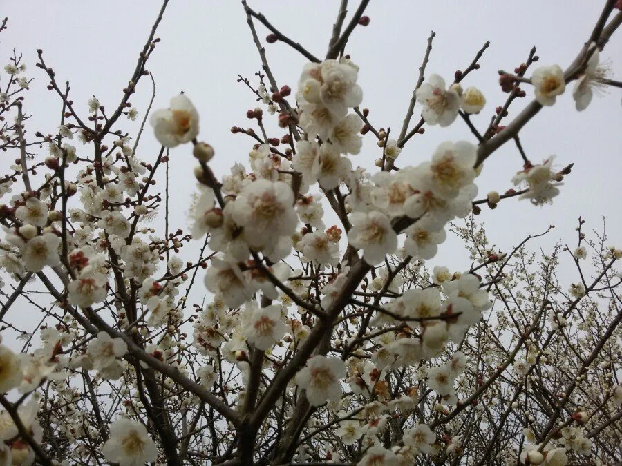 20180222_121944.jpg?type=w1200